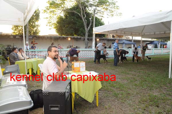 Clique sobre a foto para fechar